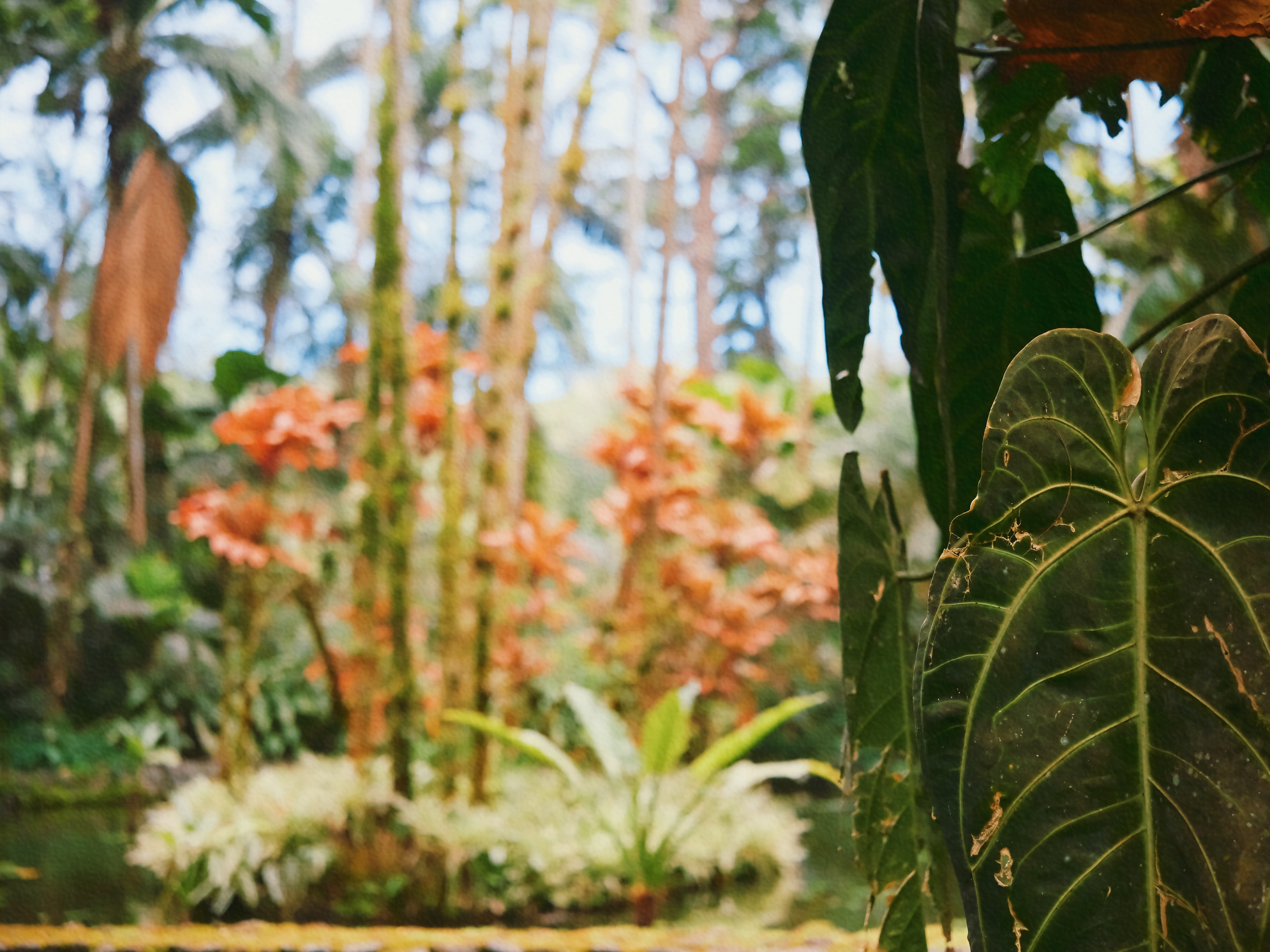 9 (2) from the seasons photography series.